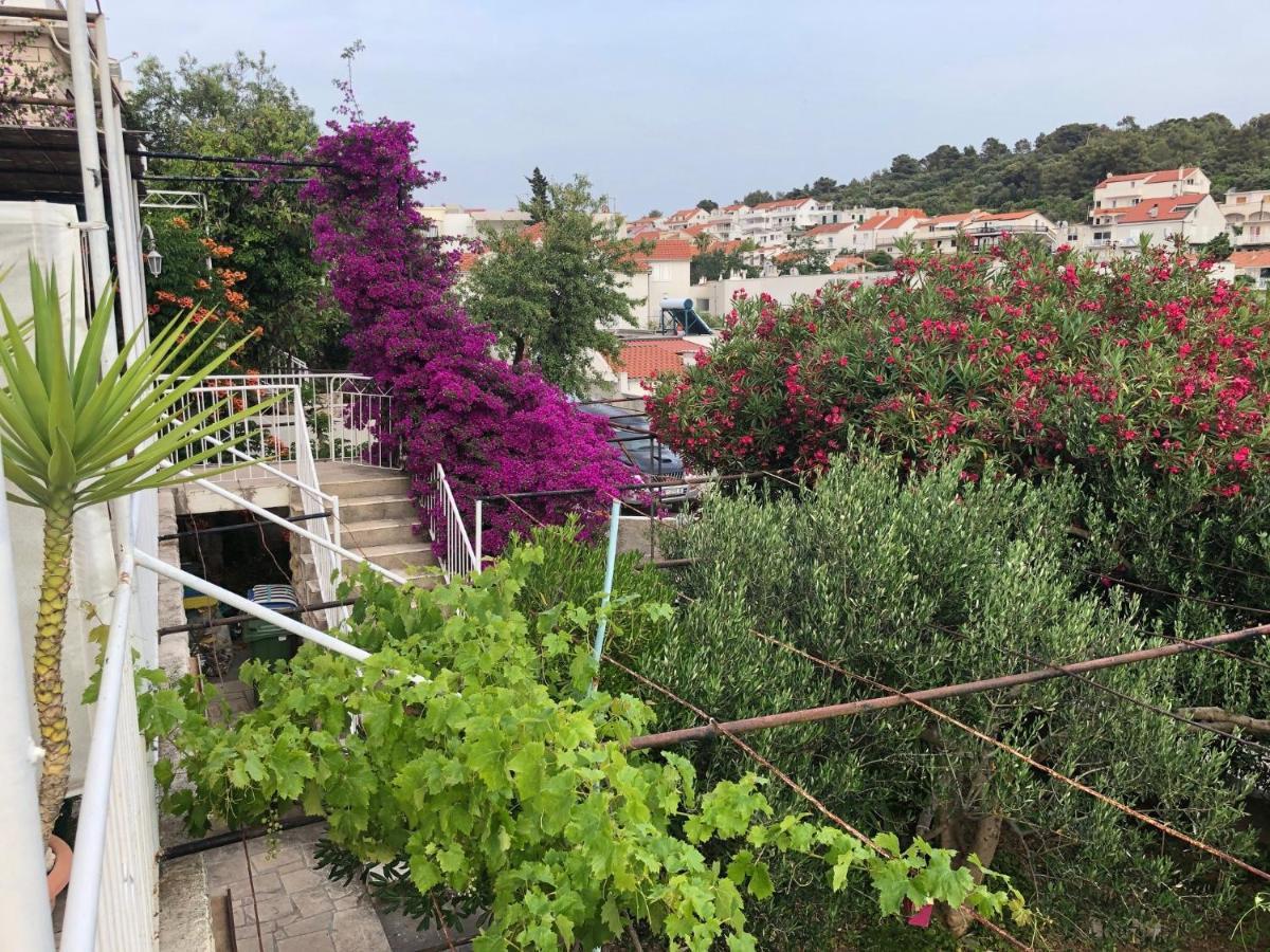 Cozy New Flat For 2 Or 3 Lägenhet Hvar Town Exteriör bild